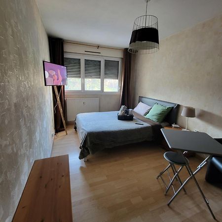 Pour Deplacement 3 Chambres Échirolles Esterno foto